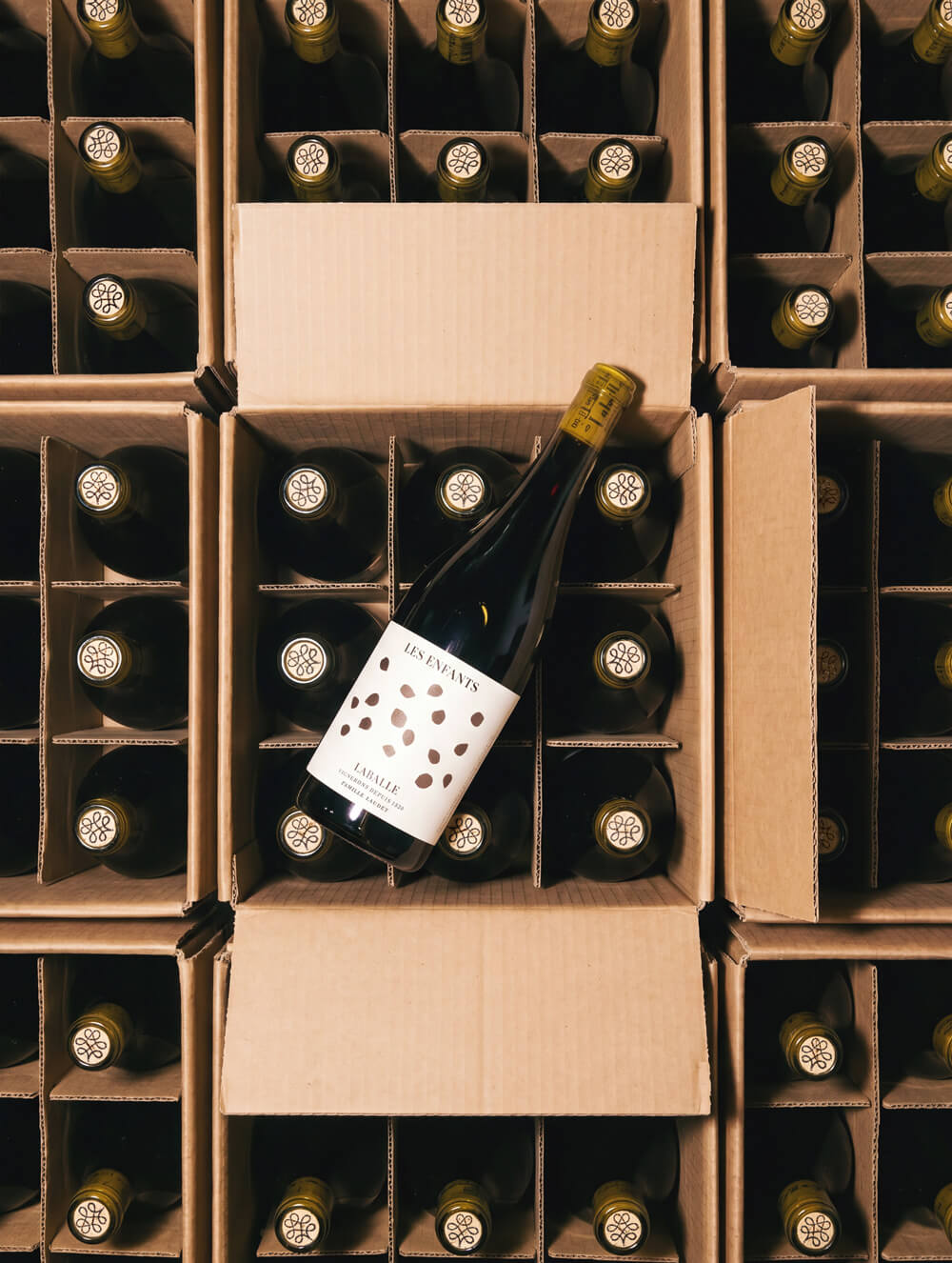 Laballe — détail 3 (Generation & Styling) | Ra1ael studio image IA