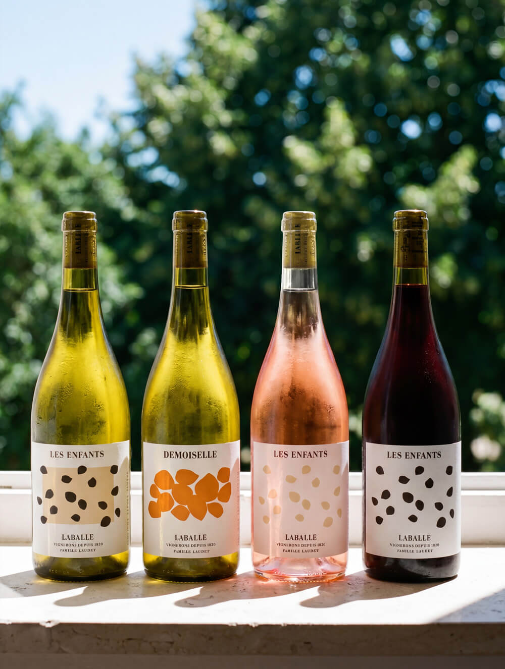 Laballe — détail 5 (Generation & Styling) | Ra1ael studio image IA